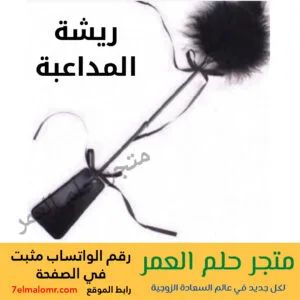 ريشة المداعبة